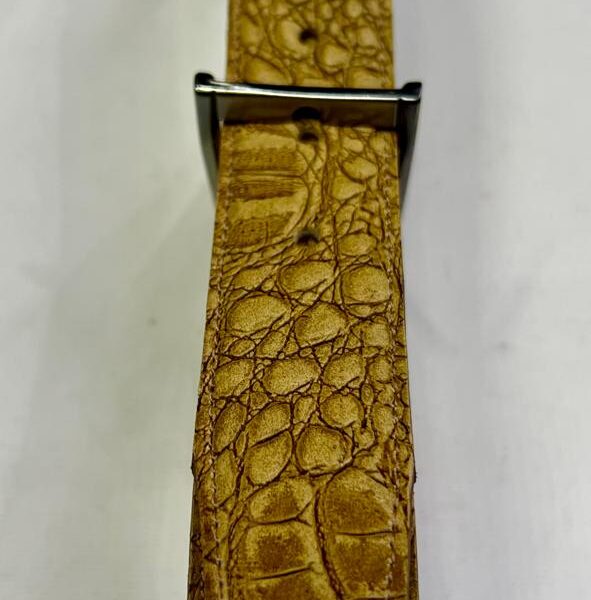 Cinto (El Club de La Llave de Lord's)