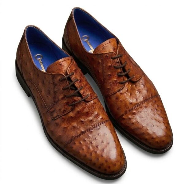 Zapato cuero fantasía (El Club de La Llave de Lord´s)