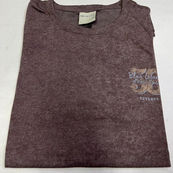 Remera con estampa (Seventy)