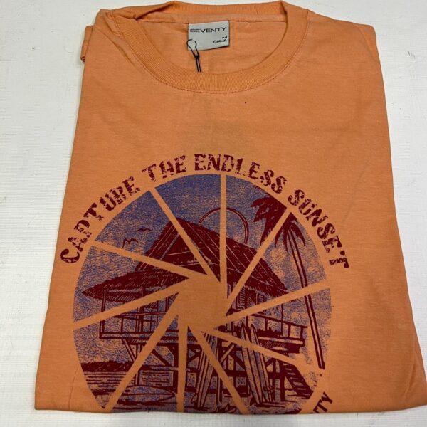 Remera con estampa (Seventy)