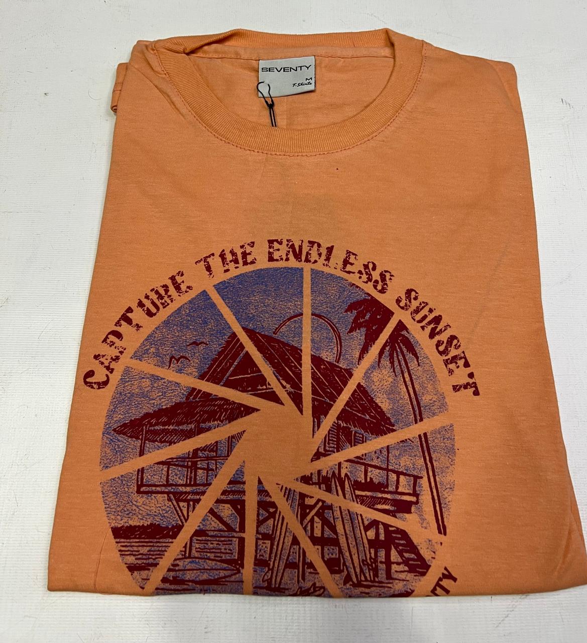 Remera con estampa (Seventy)