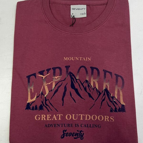 Remera con estampa (Seventy)