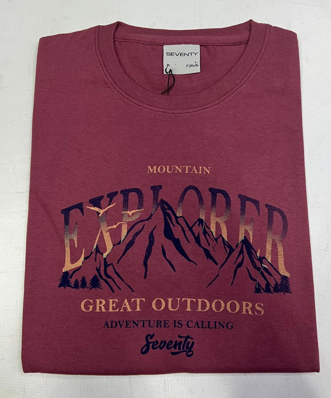 Remera con estampa (Seventy)